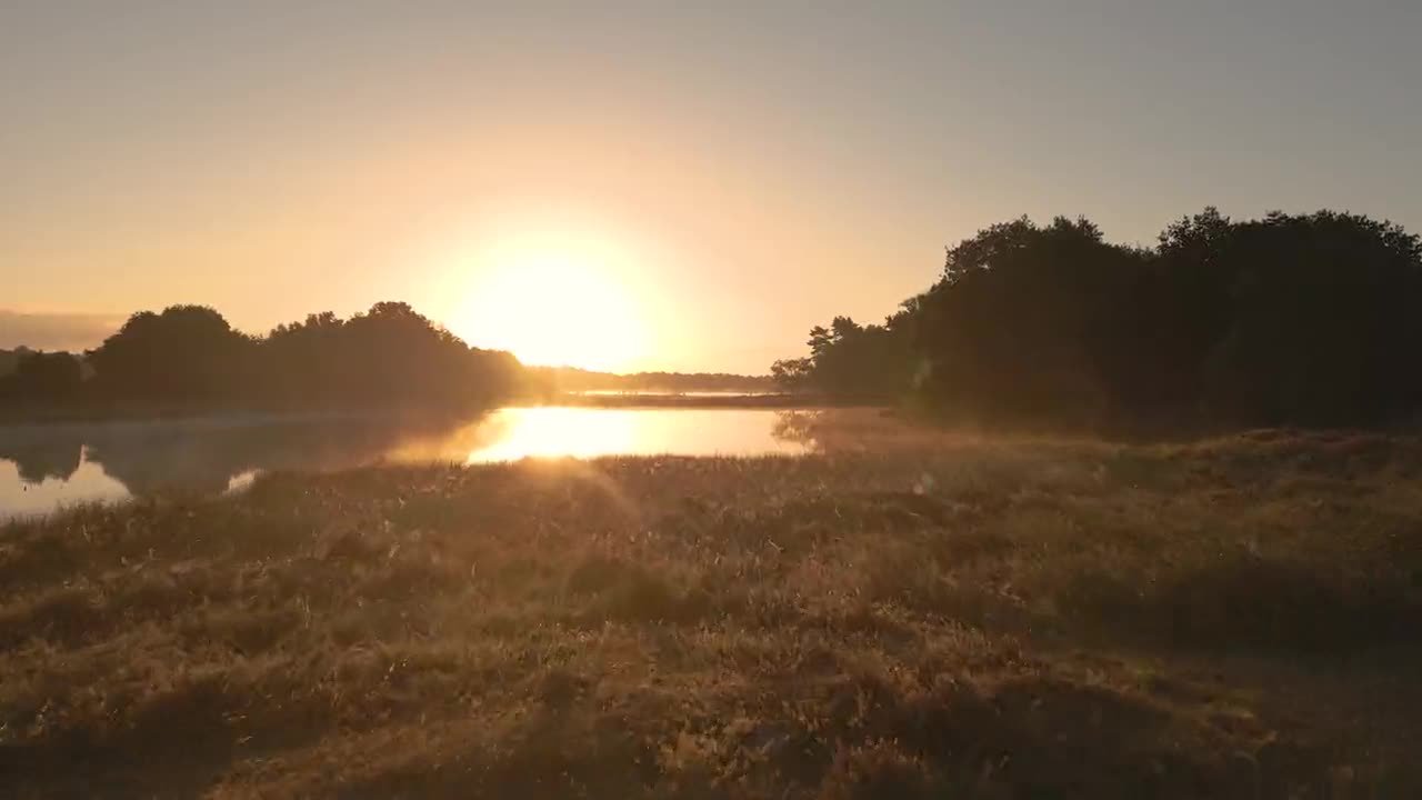 Sonnenaufgang über einem nebligen See